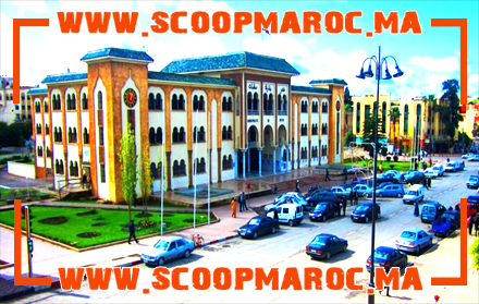 المال السايب لجماعة سطات.. علامات تجارية تتحدى مسؤولي سطات وتمارس أنشطة واختصاصات دون رخص