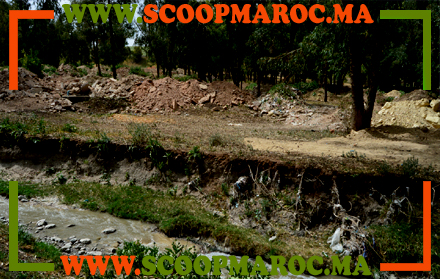 مستثمر بسطات يوضح.. مشروعي مستوفي لكل الشروط القانونية ويضع البعد البيئي ضمن أولوياته