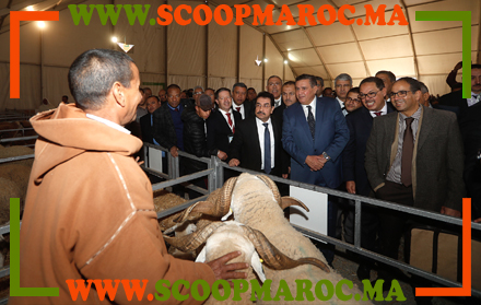 تفاصيل: هذا ما قاله أخنوش في افتتاح المعرض الوطني المهني للصردي بسطات وهذه ردود اللجنة المنظمة