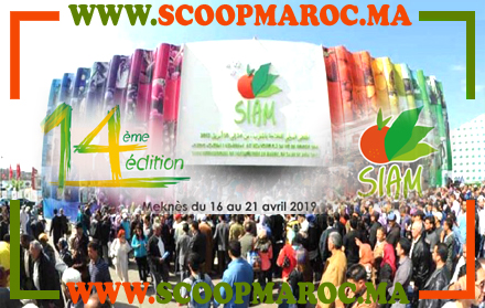 بعد توزيع 10 آلاف قفة رمضان.. جمعية أجيال الشاوية توزع 2000 تذكرة مجانية على صغار فلاحي سطات لولوج المعرض الدولي للفلاحة