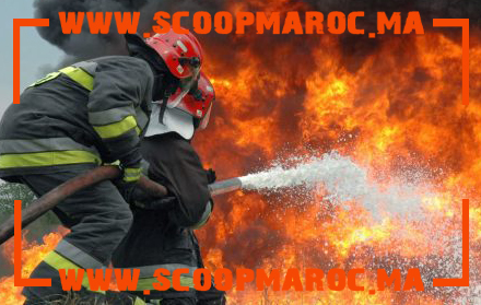 تفاصيل: حريق مهول يتلف هكتارات من غابة سطات وأصابع الاتهام تشير إلى مافيا العقار