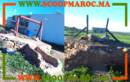 بعد نضوب الآبار وتهديدهم رفقة ماشيتهم بالعطش.. ساكنة اخميسات الشاوية يوجهون شكاية إلى عامل إقليم سطات