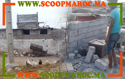 سطات: فرعون العمامشة بعد إدانته من القضاء يقوم بمخالفة جديدة للتعمير في انتظار تدخل الجهات المختصة