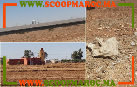 تقرير.. اسطبلات تربية الدواجن تحاصر رعايا صاحب الجلالة بدوار بلقاسم بجماعة مريزيك أولاد امراح