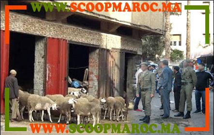 رغم الاستفزازات.. يقظة الإدارة الترابية والقوات المساعدة بالعاصمة الاقتصادية تجسد المفهوم الجديد للسلطة