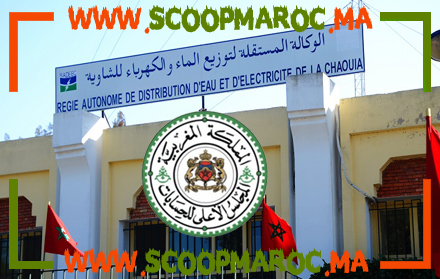 اتلاف البنى التحتية يدفع قضاة جطو لتوبيخ راديك ومدير الأخيرة يكذب في جوابه على القضاة