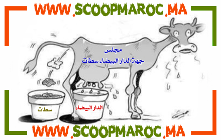 فيروس الإقصاء بجهة الدار البيضاء سطات يضرب الرياضة بإقليم سطات وفرق عريقة خارج كعكة المال العام