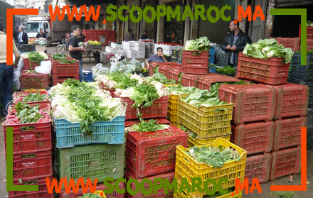 سوق الجملة بسطات: مملكة الاحتكار والتهرب الضريبي والتلاعب في الأسعار.. فمن المسؤول؟