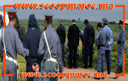 مشمش برلماني.. كنوز.. مخدرات: تفاصيل حصيلة جد مشرفة تستهل بها سرية الدرك الملكي بسطات سنتها الجديدة