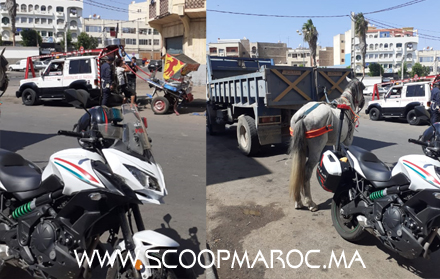 باي باي الكراول بسطات.. تجفيف المدار الحضري من العربات المجرورة بالدواب وهذه أولى ثمار العمل الجاد