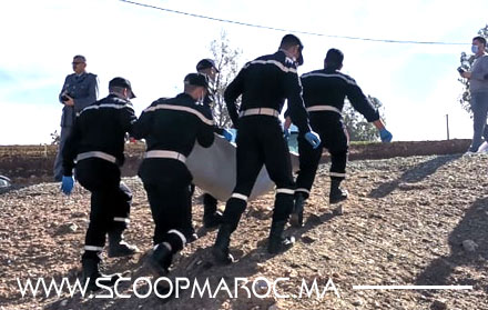 مصرع طفل في حادثة سير مأساوية بعد صدمه من طرف حافلة للنقل العمومي ضواحي سطات