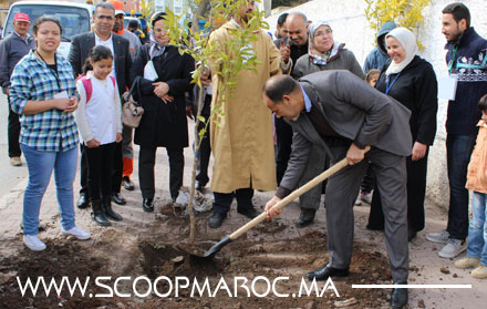 المجلس البلدي لسطات في مبادرة جديدة تحت تيمة "بيئة سليمة لصحة أفضل"