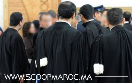 النتائج الكاملة لانتخابات نقيب ومجلس أصحاب البذلة السوداء بهيئة المحامين بسطات