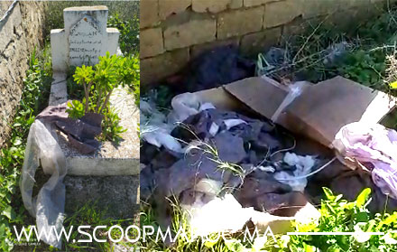 خطير بالصور: سطات.. مقاولة المجلس الإقليمي تنتهك حرمة الأحياء والأموات