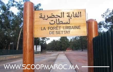 صفقة القرن تخرج مستثمرا بسطات لكشف المستور.. فهل تنضاف تهيئة الغابة الحضرية إلى لائحة المشاريع المتعثرة لصاحبها المنتدب المجلس الإقليمي؟