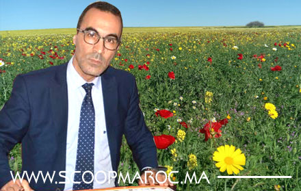 متابعة.. تطمينات رسمية حول وضعية القطاع الفلاحي بإقليم سطات