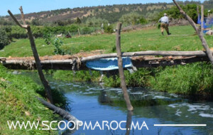 متابعة بالصور: الحشرات تقض مضجع الساكنة السطاتية في ظل جائحة كورونا.. مجهودات مبذولة والقطاع الوصي في سباته