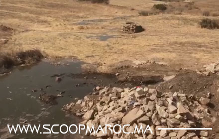 دائرة سطات الجنوبية على صفيح ساخن.. المياه المستعملة المعالجة تشعل منطقة أولاد سي بنداود_بني يغرين وعامل سطات يدخل على الخط