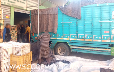 ناقوس الخطر: لجنة مختلطة بلدية عن سوق الجملة تداهم مستودعا لتخزين الموز بالمنطقة الصناعية لسطات