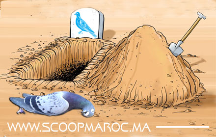 انبطاح الأحرار في مراكش.. حمام سطات على أشكاله يقع في انتخابات الجمعية المغربية لرؤساء الجماعات المحلية