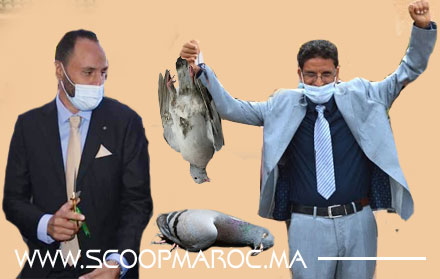 الحمامة تنهزم بـ "الفورفي" بعد غيابها عن دوري مواجهة الميزان مع الجرار لرئاسة مؤسسة التعاون بين الجماعات للبيئة والتنمية المستدامة