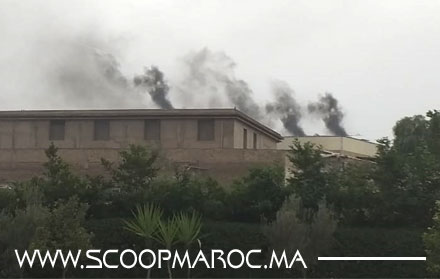 مصنع الأغطية بسطات يغتال بهجة الساكنة ويسائل ما تبقى من ضمير مسؤولي المدينة وحماة البيئة