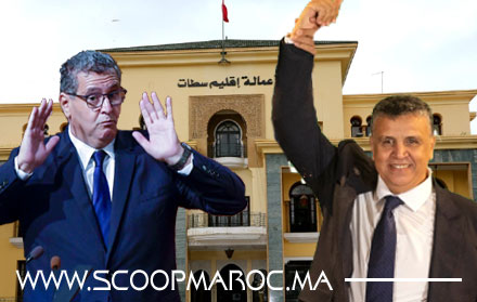 الجرار يخطف الأضواء من الحمامة مع بداية موسم حرث الانتخابات الجزئية بسطات