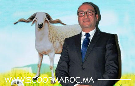 المدير الإقليمي للفلاحة أعتاني يونس يطمئن ساكنة إقليم سطات.. وضعية القطيع جيدة والعرض كافي لتغطية الطلب