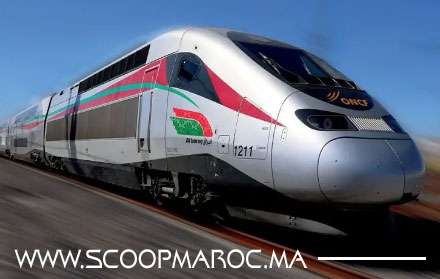 عريضة TGV بسطات تساءل المسؤولين عن سبب تعطيل خدمة 2727 وتجميد المشاركة المواطنة