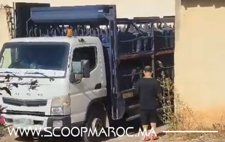 بيقظة عامل إقليم سطات.. تفكيك “قنبلة صناعية” داخل مصانع الولاعات بسطات