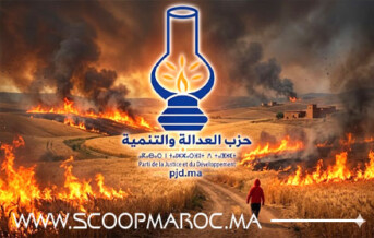 حرائق الشاوية تفضح هشاشة التدخل الفروي.. و حزب "المصباح" يدعو إلى ربط المسؤولية بالمحاسبة