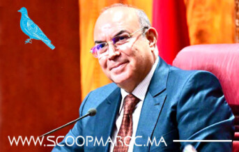 محمد غيات.. من مسارات الهندسة والتدبير إلى واجهة القرار السياسي.. رجل دولة يراهن على الخبرة لخدمة سطات